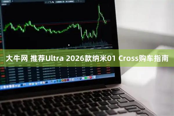 大牛网 推荐Ultra 2026款纳米01 Cross购车指南