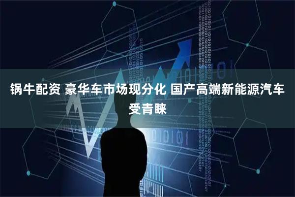 锅牛配资 豪华车市场现分化 国产高端新能源汽车受青睐