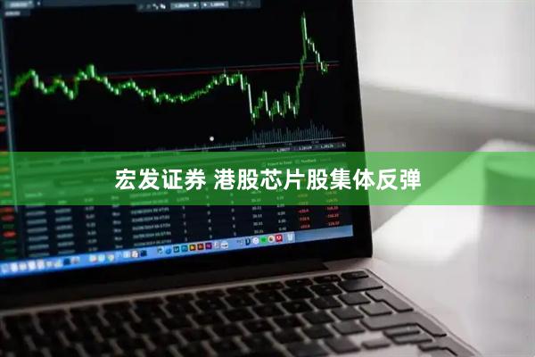 宏发证券 港股芯片股集体反弹