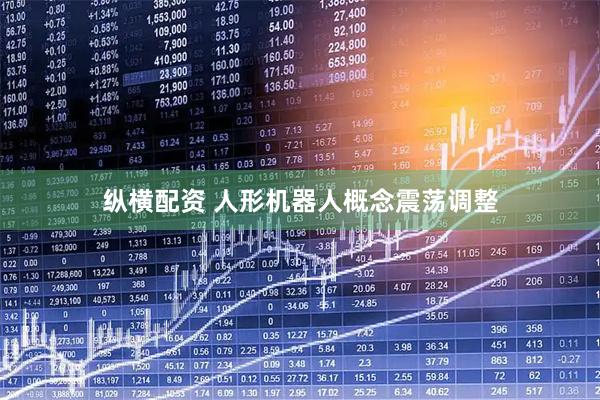 纵横配资 人形机器人概念震荡调整