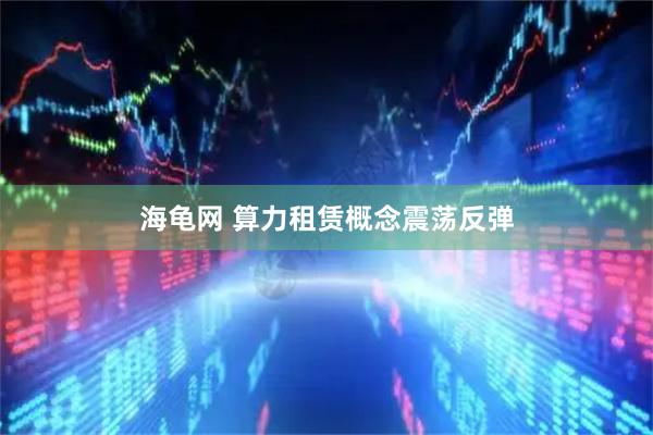 海龟网 算力租赁概念震荡反弹