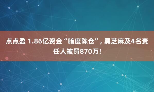点点盈 1.86亿资金“暗度陈仓”, 黑芝麻及4名责任人被罚870万!