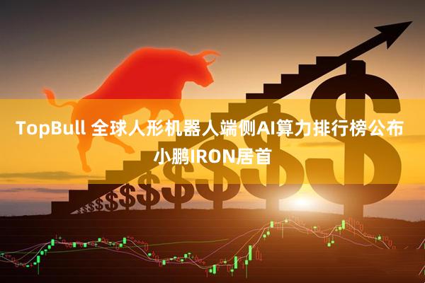 TopBull 全球人形机器人端侧AI算力排行榜公布 小鹏IRON居首